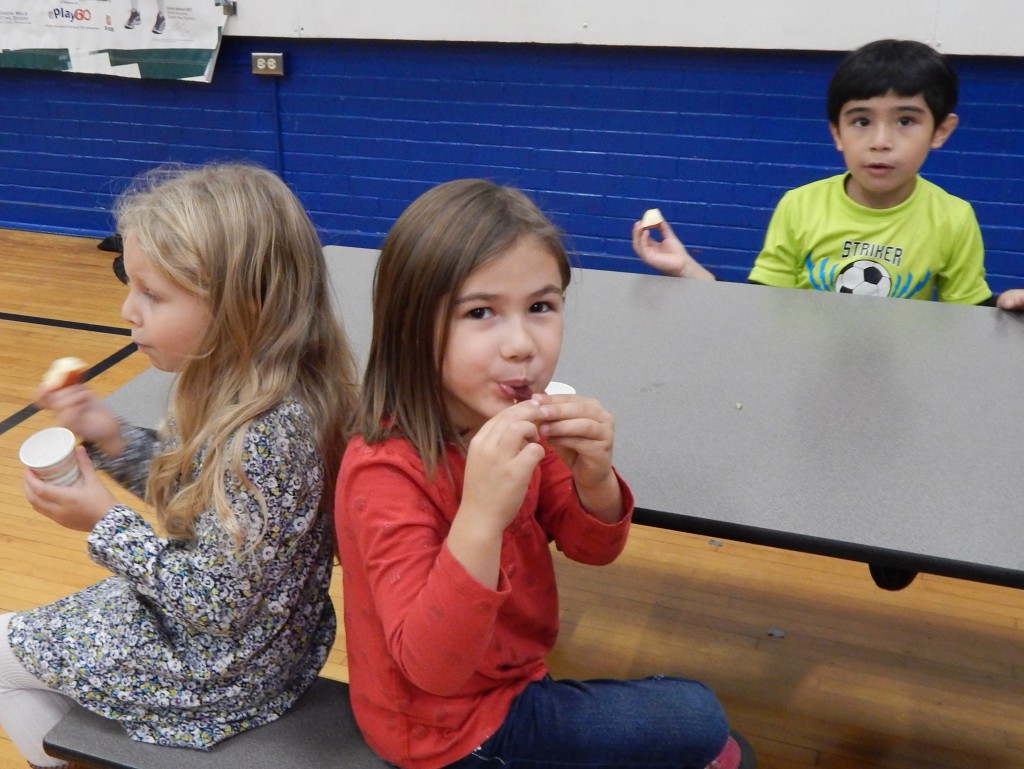LakeView K-8 Academy
