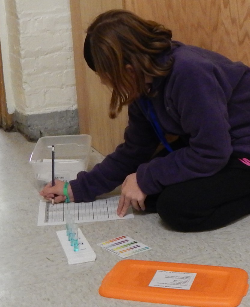 LakeView K-8 Academy