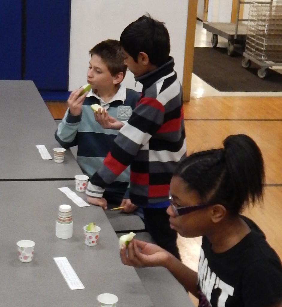 LakeView K-8 Academy