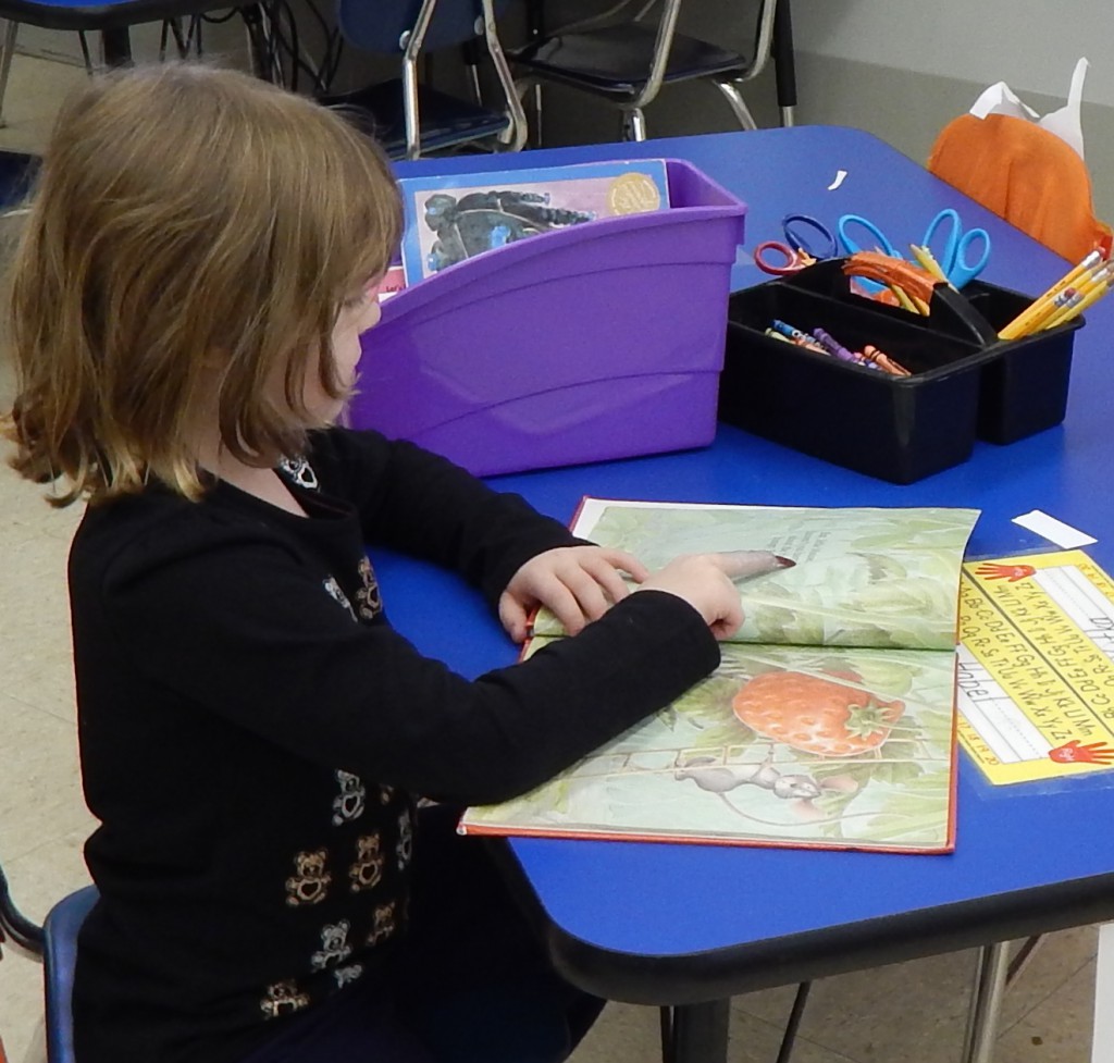 LakeView K-8 Academy
