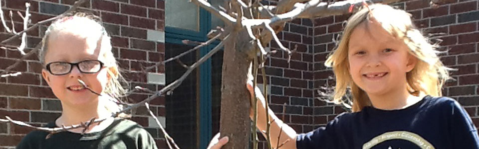 Pleasant Prairie Elementary School