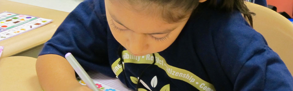 Pleasant Prairie Elementary School