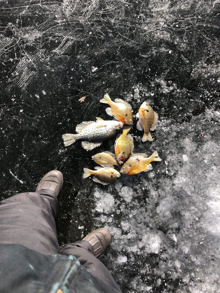 Reuther Central High School