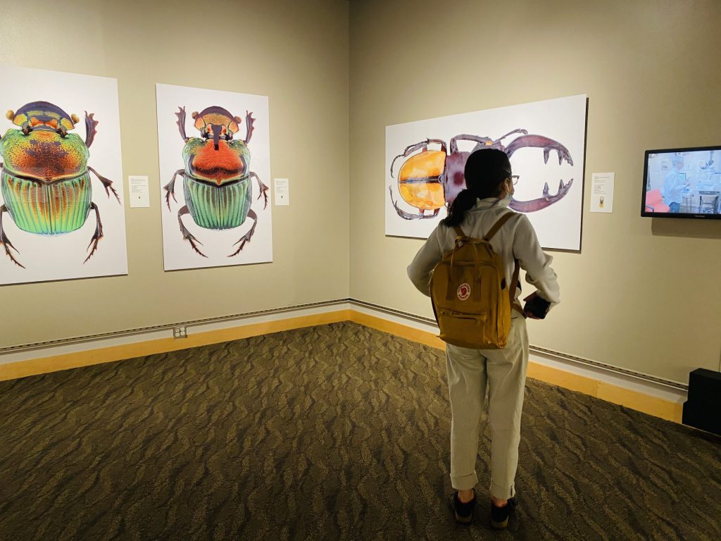 Reuther Central High School