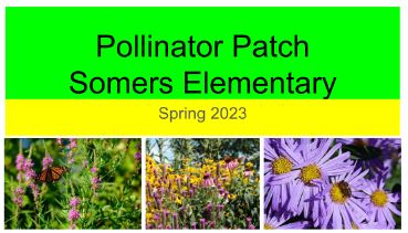 Somers Elementary School