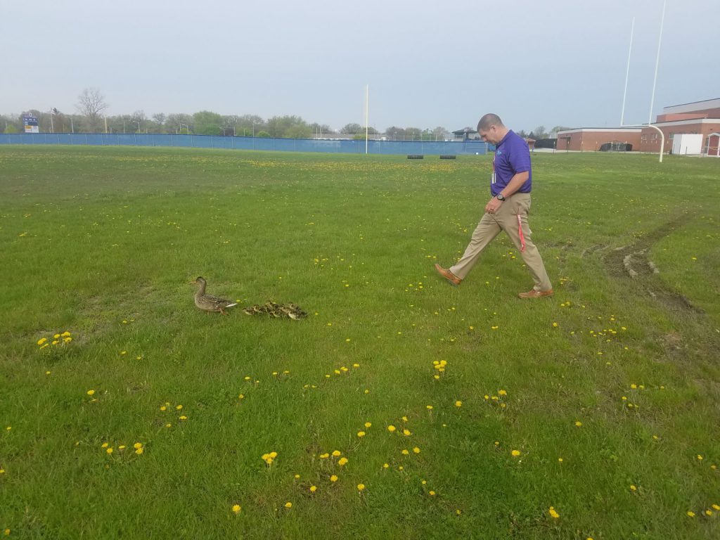 Tremper High School