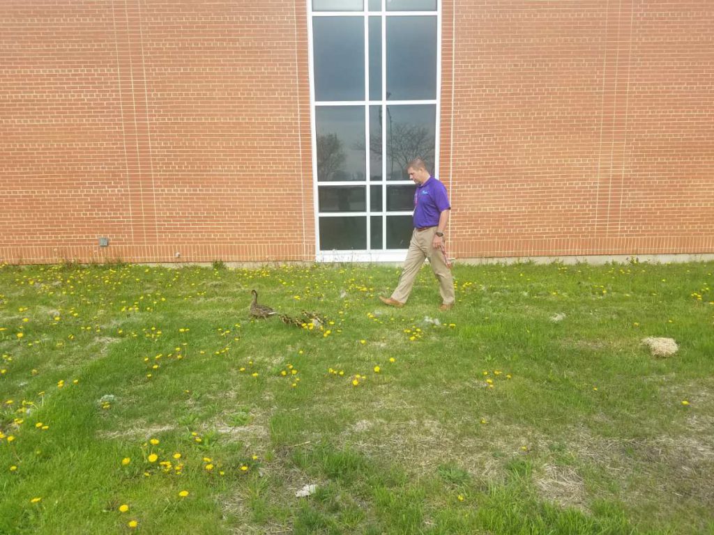Tremper High School