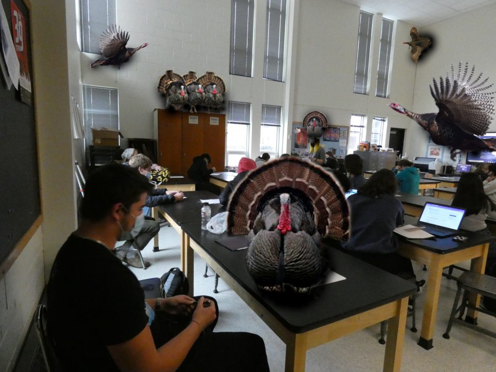 Tremper High School