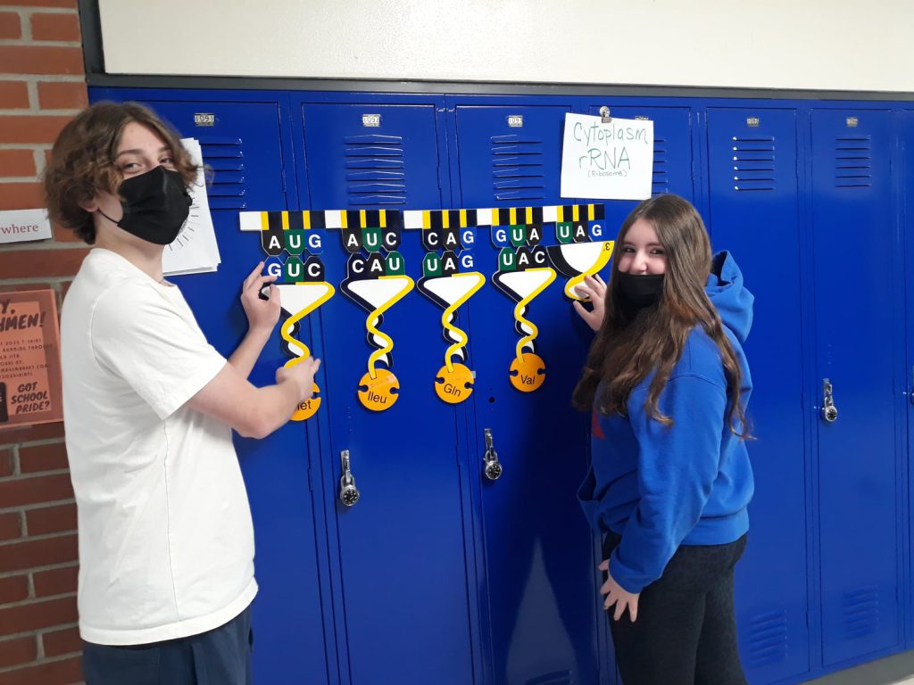 Tremper High School