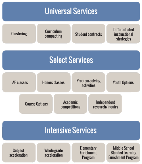  AP classes, Honors classes, Problem-solving activities, Youth Options, Course Options, Academic competitions, Independent research/inquiry. Intensive Services: Subject acceleration, Whole grade acceleration, Elementary Enrichment Program, Middle School Blended Learning Enrichment Program.