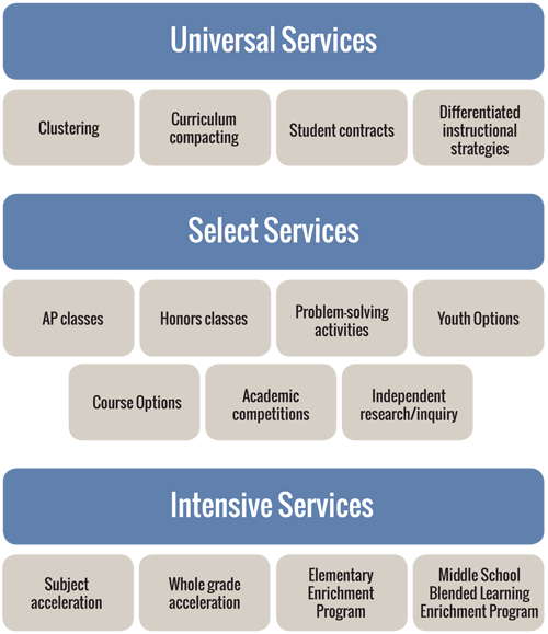  AP classes, Honors classes, Problem-solving activities, Youth Options, Course Options, Academic competitions, Independent research/inquiry. Intensive Services: Subject acceleration, Independent study.