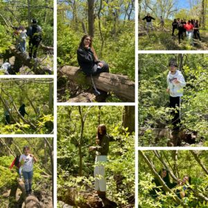 Bradford students take literature lesson into the woods