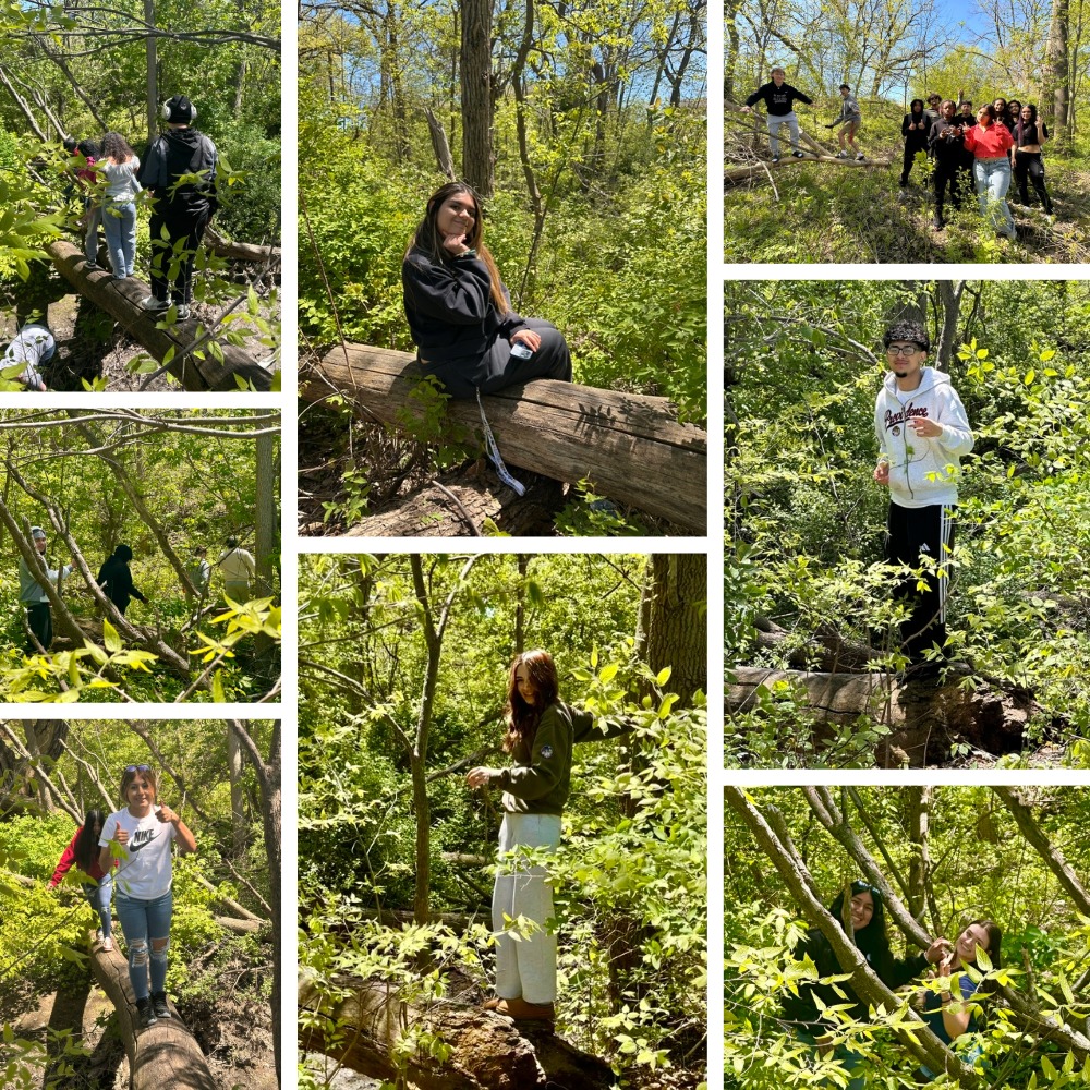 Bradford students take literature lesson into the woods